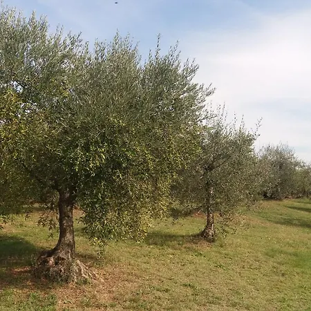 Casa Del Nonno Bingheri *